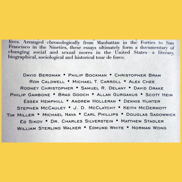Book - Boys Like Us: Gay Writers Tell Their Coming Out Stories, ed Patrick Merla - Picture 3 of 15